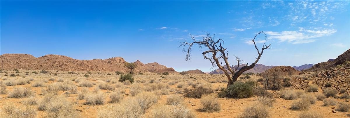 Combating Desertification