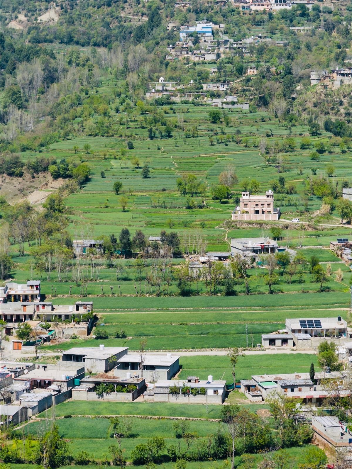 Environment